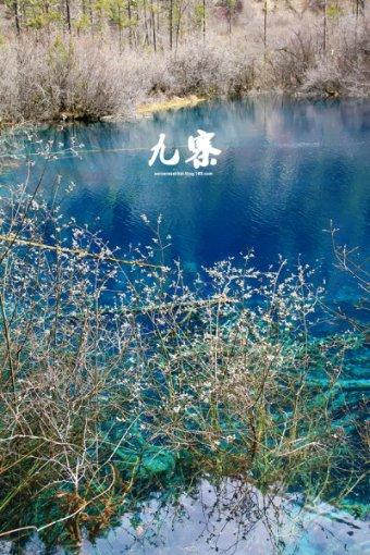 三国中,除了黄忠,越老越妖的猛将还有谁?——聚焦最热门话题的红迪网平台