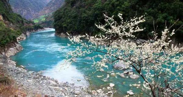 便捷问答平台沈山线明天能恢复吗，解决你的问题