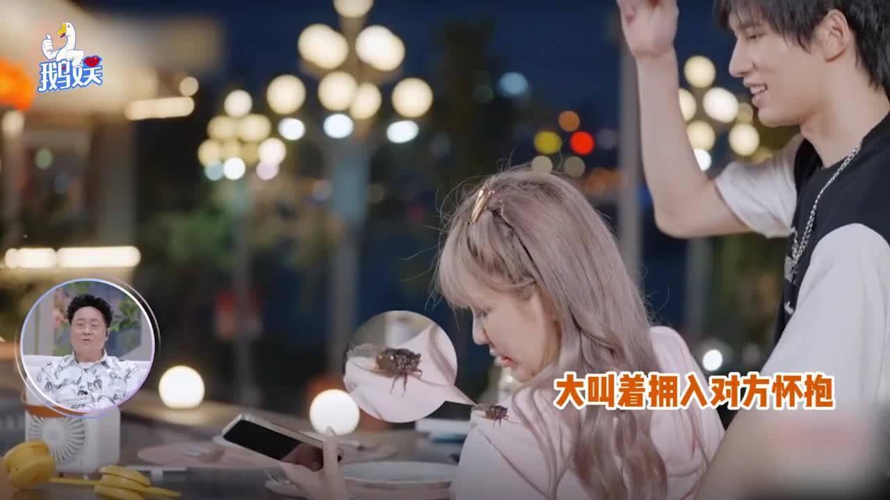 hahabet官网官方入口