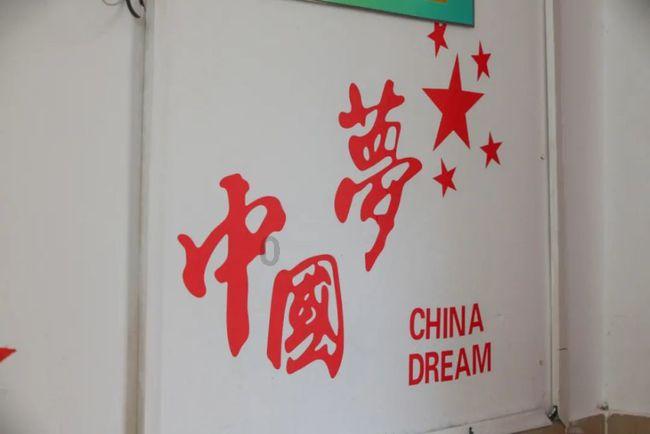 探索知识星球平台 | 女子退猫被拒将猫摔死,是否涉嫌违法?女子的行为你怎么看?知识社区